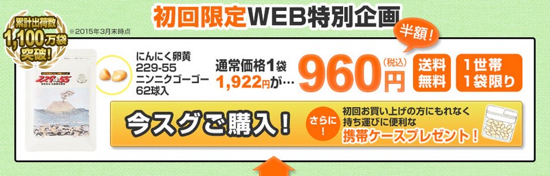 にんにくサプリメント｜てまひま堂にんにく卵黄情報サイト